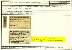 Karteikarte zum Holotyp von Dentalina striatissima Stache, 1864